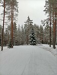 IMG20231227140145