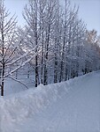 IMG20231231092503