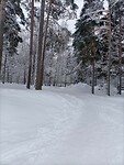 IMG20240103140636