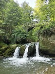 IMG_20240629_095149
