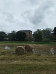 IMG_20240630_115508