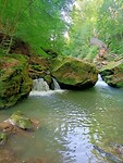IMG20240629094458