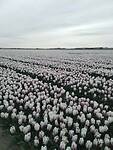 IMG-20240414-WA0165
