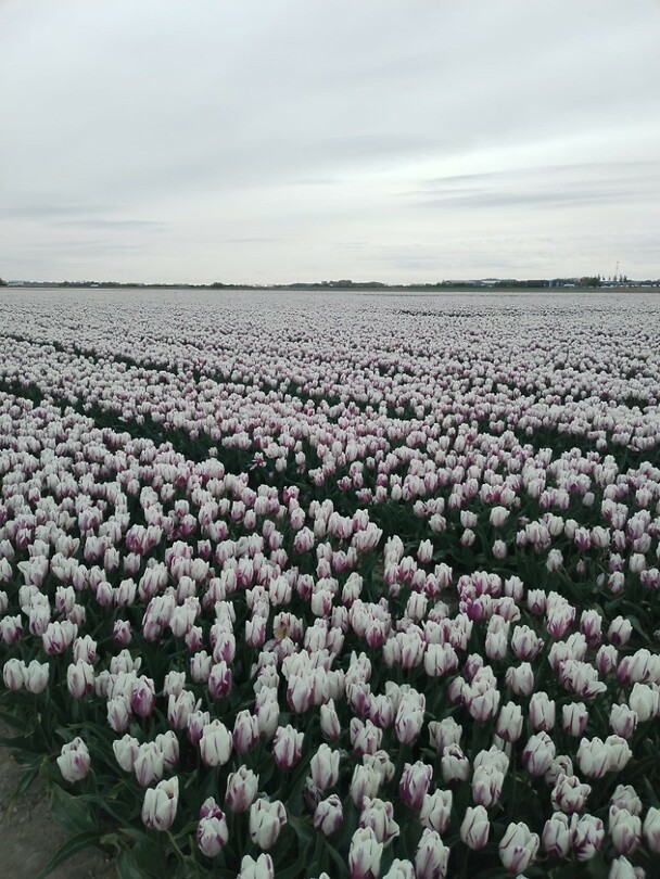 IMG-20240414-WA0165