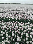 IMG-20240414-WA0178