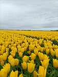 IMG20240414092137