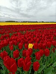 IMG20240414092516