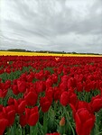 IMG20240414093636