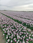 IMG20240414105108