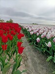 IMG20240414105810