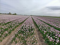 IMG20240414110902