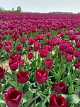 IMG20240414121244