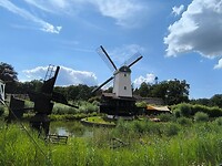 IMG_20240728_162127