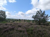 IMG_20240817_114222
