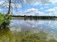 IMG_20240817_125423