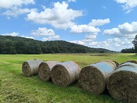 IMG_20240817_132851