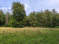 IMG_20240817_174019