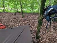 IMG_20240817_175350