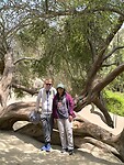 IMG_20241003_104156