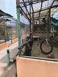 IMG_20240927_101451