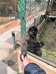 IMG_20240927_101509