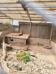 IMG_20240927_102739