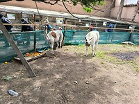 IMG_20240927_102746