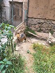 IMG_20240927_103034