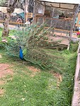 IMG_20240927_104401