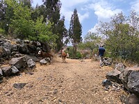 IMG_20240928_104934
