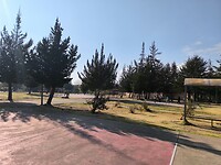 IMG_20240929_073930