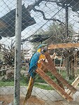IMG_20240927_102010