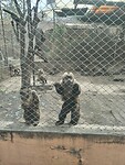 IMG_20240927_102309