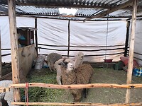 IMG_20240925_155946