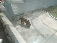 IMG_20241006_100311