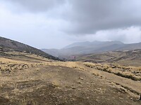 IMG_20240926_082341