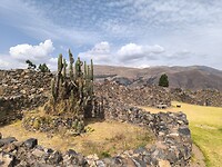 IMG_20240928_085928