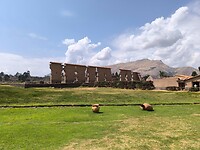 IMG_20240928_094605