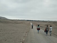 IMG_20241004_164652