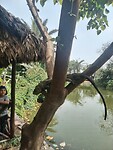 IMG_20241006_101136