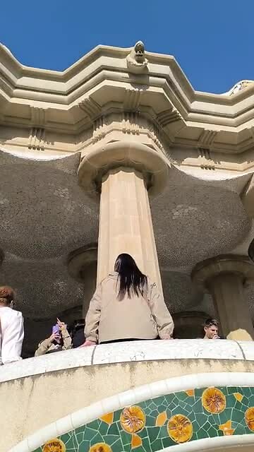 VID_20241111_105846