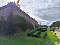 IMG_20241107_133503