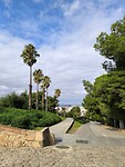 IMG_20241107_133921