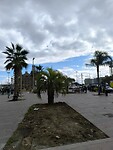 IMG_20241107_121349