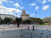 IMG_20241107_105834