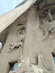 IMG_20241108_095843