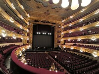 IMG_20241108_194528