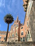 IMG_20241108_123442