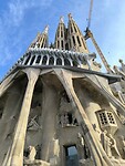 IMG_20241108_100547