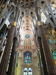 IMG_20241108_093837